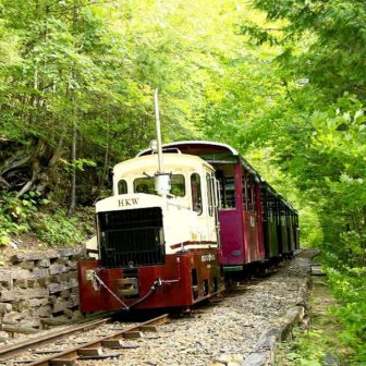 新緑の赤沢森林鉄道の先頭車両